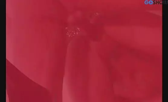 Outdoor Oral Pleasures Threesome Fucking